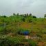  Land for sale in Thailand, Khao Krapuk, Tha Yang, Phetchaburi, Thailand