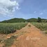  Land for sale in Sam Roi Yot, Hua Hin, Sam Roi Yot