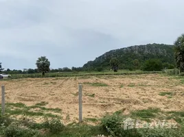  Grundstück zu verkaufen in Pran Buri, Prachuap Khiri Khan, Pak Nam Pran, Pran Buri, Prachuap Khiri Khan, Thailand