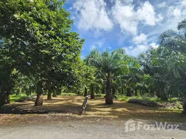  Terreno (Parcela) en venta en Phuket, Thep Krasattri, Thalang, Phuket