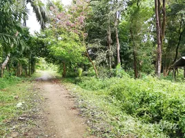  Terrain for sale in Ranong, Ko Phayam, Mueang Ranong, Ranong