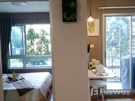 1 Bedroom Condo for rent at The Trust Residence Pinklao, Arun Ammarin, Bangkok Noi