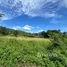  Land for sale in Bo Phut, Surat Thani, Bo Phut, Koh Samui