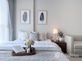 Appartement 1 chambre à louer à Atmoz Oasis Onnut, Suan Luang, Suan Luang, Bangkok, Thaïlande
