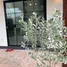 1 Bedroom House for rent in Nong Faek, Chiang Mai, Nong Faek, Saraphi, Chiang Mai, Thailand