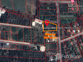  Земельный участок for sale in San Klang, Сан Патонг, San Klang