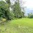  Land for sale in Pococi Limon, Pococi, Limon
