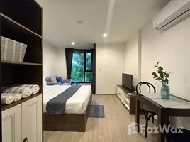 1 Bedroom Condo for rent at THE BASE Central Phuket, Wichit, Phuket Town, Phuket, Thailand