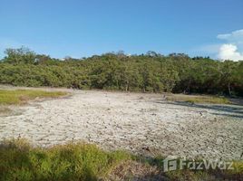 N/A Terreno (Parcela) en venta en , Islas De La Bahia Nice Beachfront Land Plot for Sale in Molton Bight
