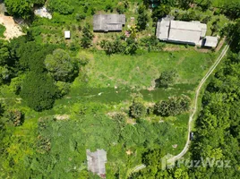 ขายที่ดิน ใน เทพกระษัตรี, ภูเก็ต, เทพกระษัตรี