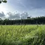  Land for sale in Wang Maprang Nuea, Trang, Wang Maprang Nuea