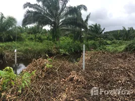  Land for sale in Phangnga, Bang Nai Si, Takua Pa, Phangnga