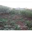  Land for sale at Colina Verde, Fernando De Noronha