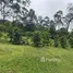  Grundstück zu verkaufen im Alajuela, San Ramon, Alajuela