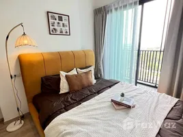 คอนโด 1 ห้องนอน ให้เช่า ในโครงการ เดอะริช พระราม 9 - ศรีนครินทร์, สวนหลวง, สวนหลวง