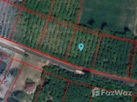  Land for sale in Thailand, Dom, Sangkha, Surin, Thailand