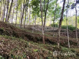 ขายที่ดิน ใน กะไหล, พังงา, กะไหล