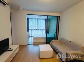 1 Bedroom Condo for rent at Connext, Talat Nuea, Phuket Town, Phuket