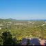  Land for sale in Koh Samui Surat Thani, Bo Phut, Koh Samui, Surat Thani