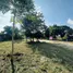  Land for sale in Mae Rim Chiang Mai, Rim Nuea, Mae Rim, Chiang Mai