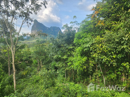 ขายที่ดิน ใน หนองทะเล, กระบี่, หนองทะเล, เมืองกระบี่, กระบี่