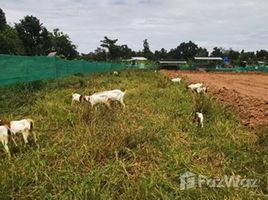 N/A Land for sale in Phak Top, Udon Thani 13 Rai Land with Buildings dor Sale in Nong Han, Udon Thani