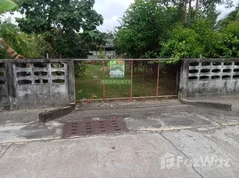 ขายที่ดิน ใน บางนาค, นราธิวาส, บางนาค, เมืองนราธิวาส, นราธิวาส, ไทย