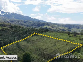  Terreno (Parcela) en venta en Costa Rica, Pérez Zeledón, San José, Costa Rica