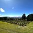  Land for sale in San Isidro Heredia, San Isidro, Heredia, Costa Rica
