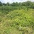  Land for sale in Liberia, Guanacaste, Liberia