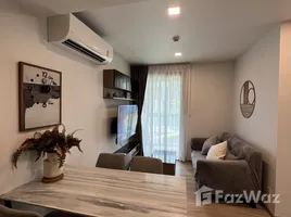 คอนโด 2 ห้องนอน ให้เช่า ในโครงการ ทากะ เฮาส์, คลองตันเหนือ, วัฒนา