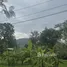在Chiangmai Lake Land出售的 土地, Suthep