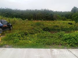 ขายที่ดิน ใน เทพกระษัตรี, ภูเก็ต, เทพกระษัตรี, ถลาง