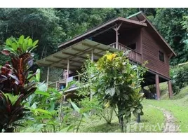 1 chambre Maison for sale in Osa, Puntarenas, Osa