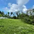  Land for sale in Ang Thong, Koh Samui, Ang Thong