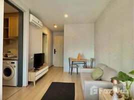 คอนโด 1 ห้องนอน ให้เช่า ในโครงการ ไลฟ์ รามา 4 - อโศก, คลองเตย