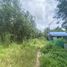  Land for sale in Phuket, Si Sunthon, Thalang, Phuket