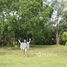  Land for sale in Aborlan, Palawan, Aborlan