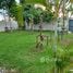 4 Bedroom House for sale in Nong Chok, Bangkok, Khok Faet, Nong Chok