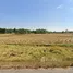  Land for sale in Surin, Mueang Ling, Chom Phra, Surin