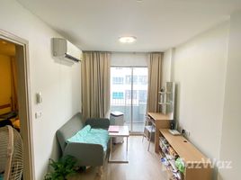 1 Schlafzimmer Wohnung zu verkaufen im Elio Sukhumvit 64, Bang Chak