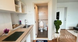 ยูนิตมือสองและให้เช่า