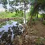  Land for sale in Sai Noi Nonthaburi, Thawi Watthana, Sai Noi, Nonthaburi