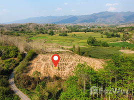  Land for sale in Nan, Chiang Klang, Chiang Klang, Nan