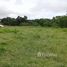  Land for sale in Baru, Chiriqui, Limones, Baru