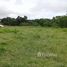  Land for sale in Panama, Limones, Baru, Chiriqui, Panama