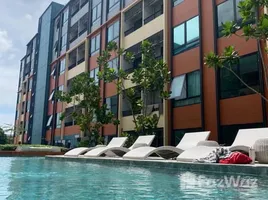 คอนโด 1 ห้องนอน ให้เช่า ในโครงการ เดอะ คิวบ์ อะเมซ, ศรีสุนทร, ถลาง