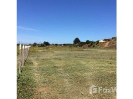  Land for sale at Algarrobo, Casa Blanca