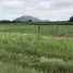  Land for sale in Phetchabun, Phu Toei, Wichian Buri, Phetchabun