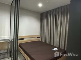 คอนโด 1 ห้องนอน ให้เช่า ในโครงการ เดอะ โพลิแทน อควา, บางกระสอ